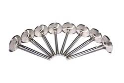 Competition Cams - Sportsman Stainless Steel Street Intake Valves - Competition Cams 6001-8 UPC: 036584125402 - Image 1