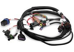 Holley Performance - Terminator EFI Wiring Harness - Holley Performance 558-414 UPC: 090127685587 - Image 1
