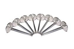 Competition Cams - Sportsman Stainless Steel Street Intake Valves - Competition Cams 6021-8 UPC: 036584125426 - Image 1