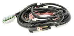 B&M - Automatic Transmission Wire Harness - B&M 120003 UPC: 019695002244 - Image 1