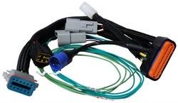 MSD Ignition - Ignition Harness Adapter - MSD Ignition 7789 UPC: 085132077892 - Image 1
