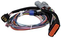 MSD Ignition - Power Grid Ignition System Replacement Wire Harness - MSD Ignition 7780 UPC: 085132077809 - Image 1
