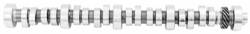 Ford Performance Parts - Camshaft - Ford Performance Parts M-6550-RXT UPC: 756122124369 - Image 1