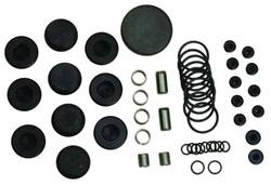 Ford Performance Parts - Plug/Dowel Kit - Ford Performance Parts M-6026-A UPC: 756122106822 - Image 1