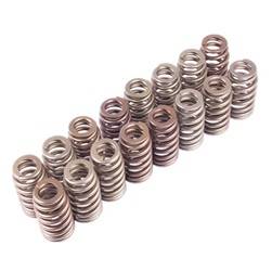 Ford Performance Parts - Valve Spring Kit - Ford Performance Parts M-6513-M50BR UPC: 756122129067 - Image 1