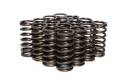 Single Inner Valve Springs - Competition Cams 975-16 UPC: 036584271130