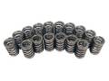 Ovate Wire Valve Springs - Competition Cams 983-16 UPC: 036584037828