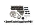 Mutha Thumpr Camshaft Kit - Competition Cams K20-601-4 UPC: 036584182313