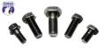 Differentials and Components - Ring Gear Bolt - Yukon Gear & Axle - Ring Gear Bolt - Yukon Gear & Axle YSPBLT-002 UPC: 883584330325