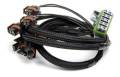 Fuel Injection Wire Harness - Holley Performance 558-206 UPC: 090127669174