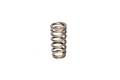Beehive Performance Street Valve Springs - Competition Cams 26113-1 UPC: 036584044239