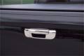 Tailgate And Rear Handle Cover - Putco 402134 UPC: 010536421347