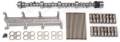 Rollin Thunder Hydraulic Roller Camshaft Kit - Edelbrock 22076 UPC: 085347220762