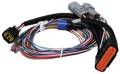 Power Grid Ignition System Replacement Wire Harness - MSD Ignition 7780 UPC: 085132077809