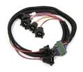 Fuel Injection Wire Harness - Holley Performance 558-203 UPC: 090127666470