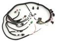 Thruster Main Wire Harness - ACCEL 77683 UPC: 743047106655